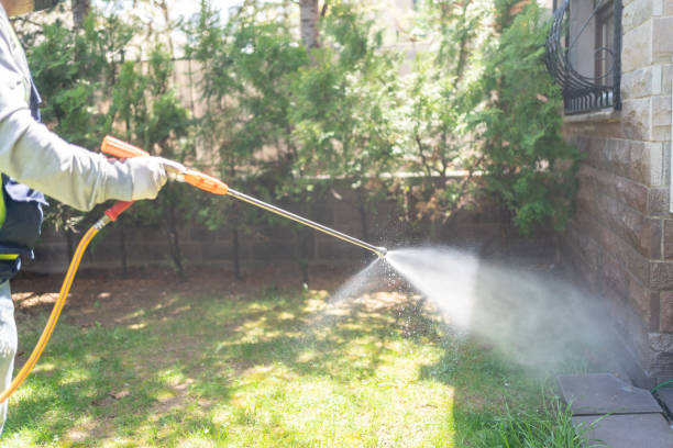 Best Mosquito Control  in Bourbon, IN